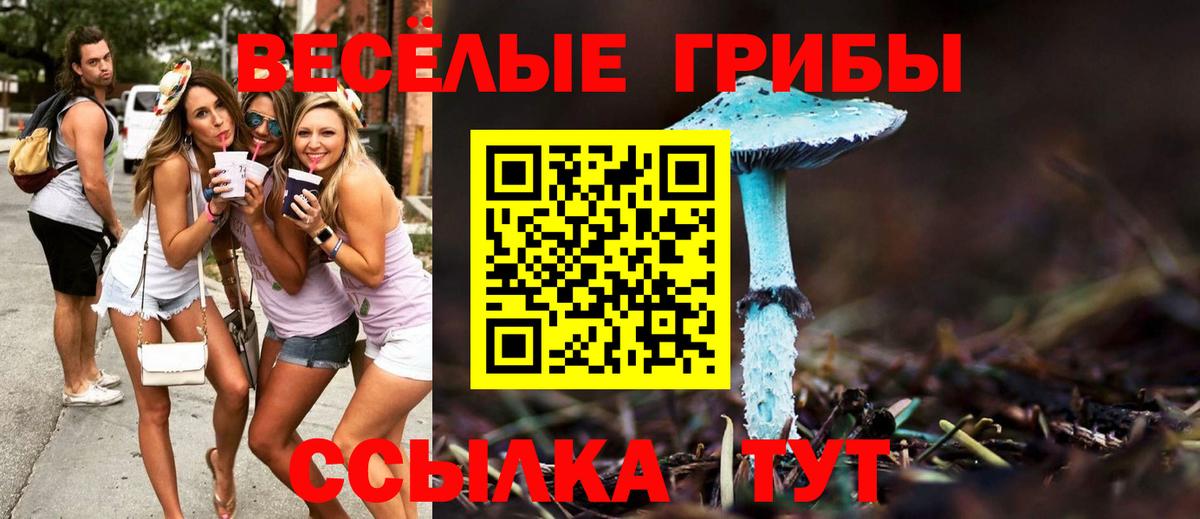 Геленджик  Псилоцибиновые грибы прущие грибы  цена наркотик  Вход с VPN 